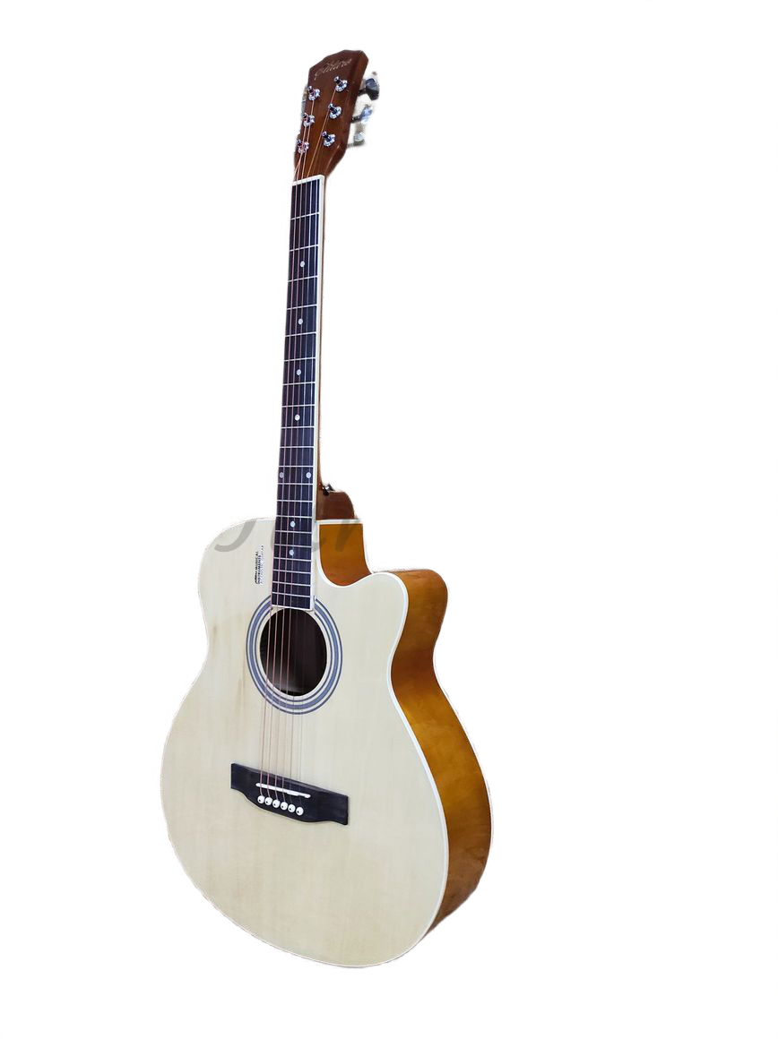 Акустическая гитара Elitaro E4010C N