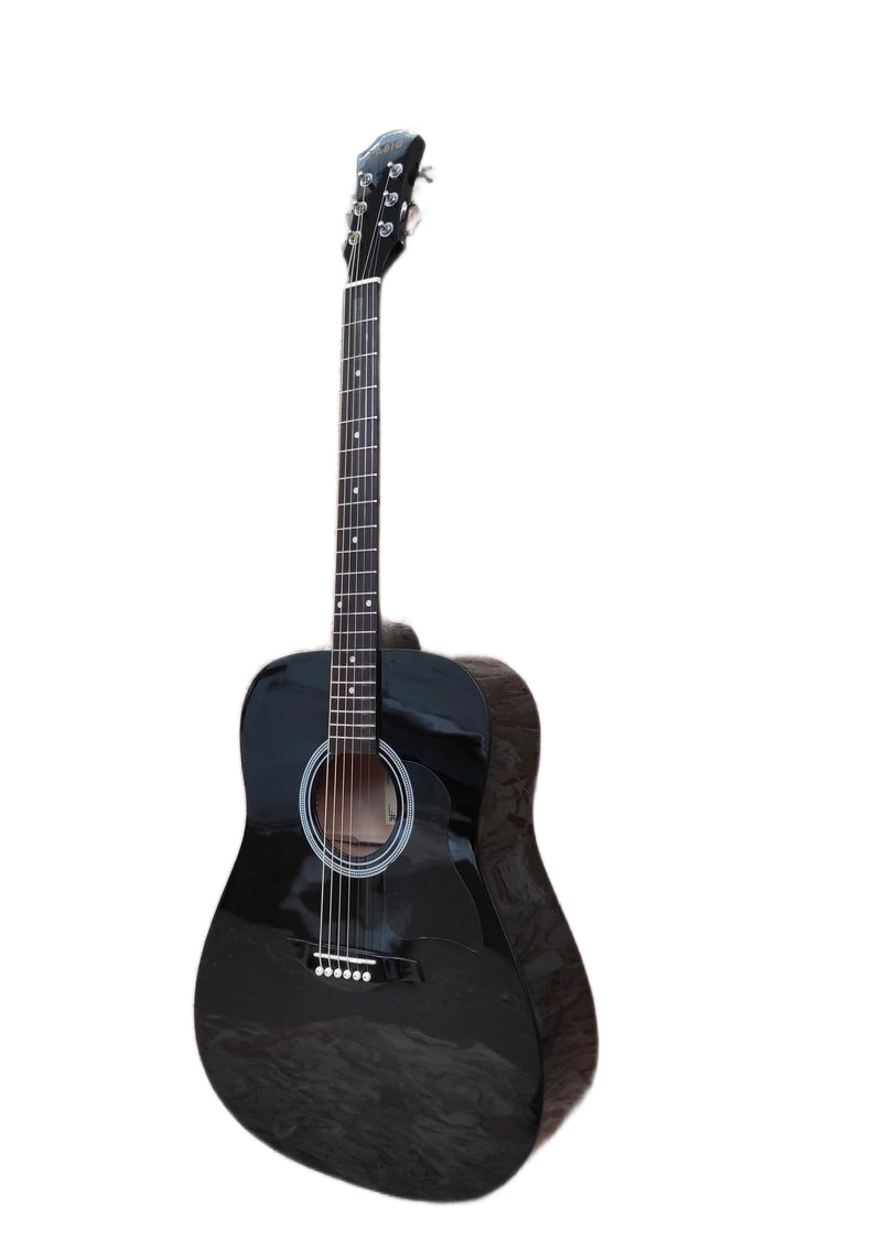 Акустическая гитара Fabio FW220 BK