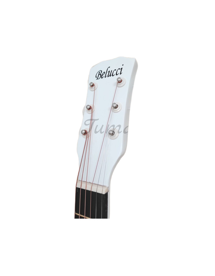 Акустическая гитара Belucci BC3820 WH