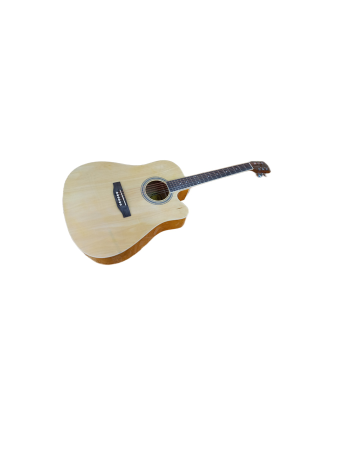 Акустическая гитара Elitaro E4110C N