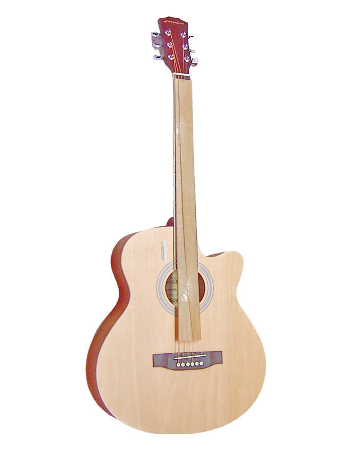 Акустическая гитара Elitaro E4020C N