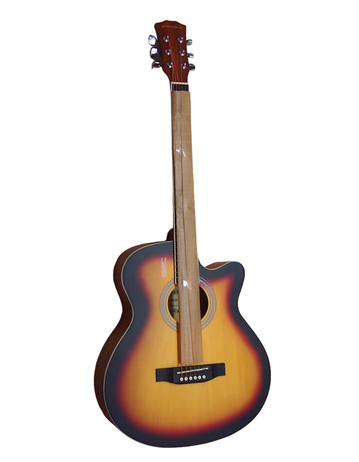 Акустическая гитара Elitaro E4020C SB