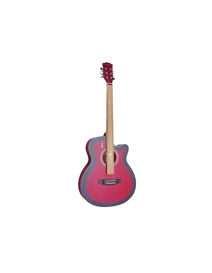 Акустическая гитара Elitaro E4020C RDS