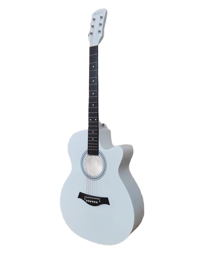 Акустическая гитара Belucci BC4010 WH