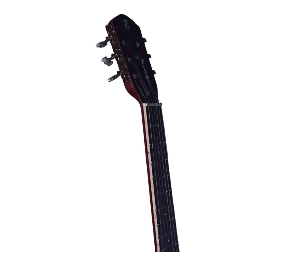 Электроакустическая гитара Tagima TW 27 EQ-N