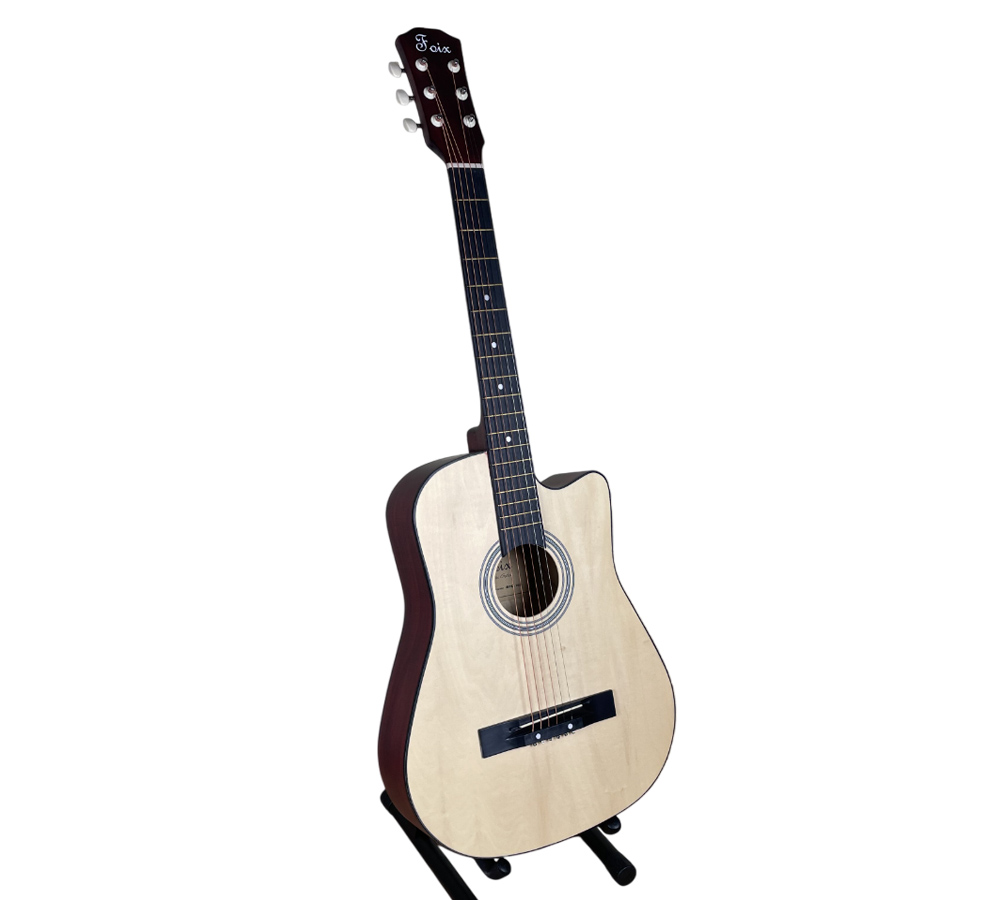 Акустическая гитара Foix FFG-3810C N