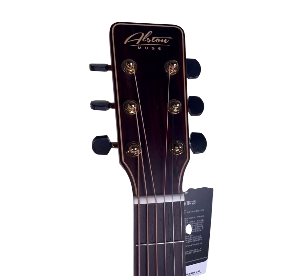 Акустическая гитара Alston Muse D-139
