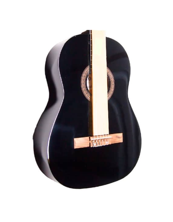 6 струнная гитара Fabio FAC-502 BK