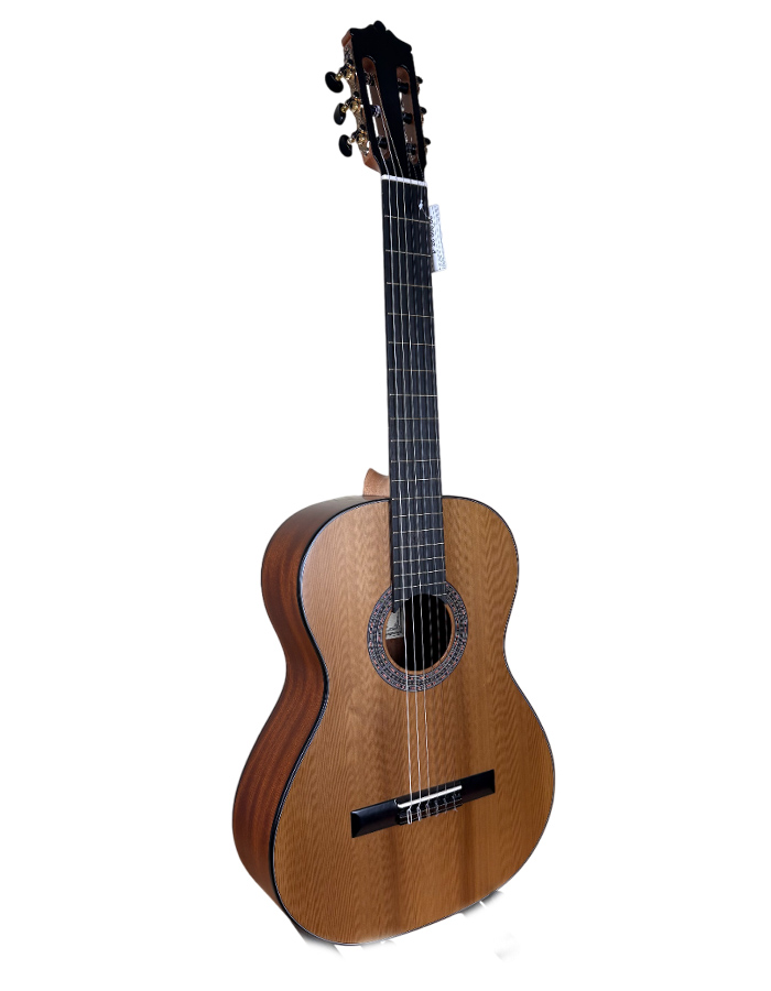 Классические гитары Martinez