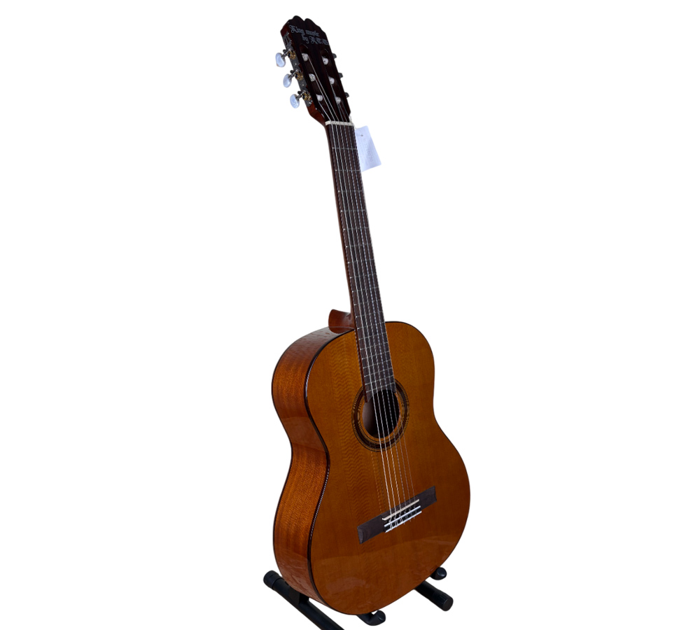 Классическая гитара полный массив RCG WX-8 N