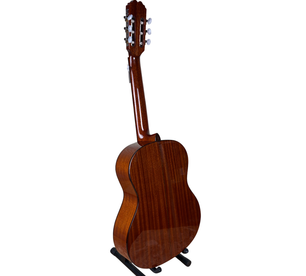 Классическая гитара полный массив RCG WX-8 N